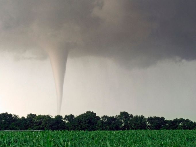 Milky White Tornado Spins Across Farmland at Sunset Original caption:A tornado is a rapidly rotating column of air, made visible by the presence of dust or debris, or in the case of this twister, the condensation of water vapor due to the lowered pressure within the column.