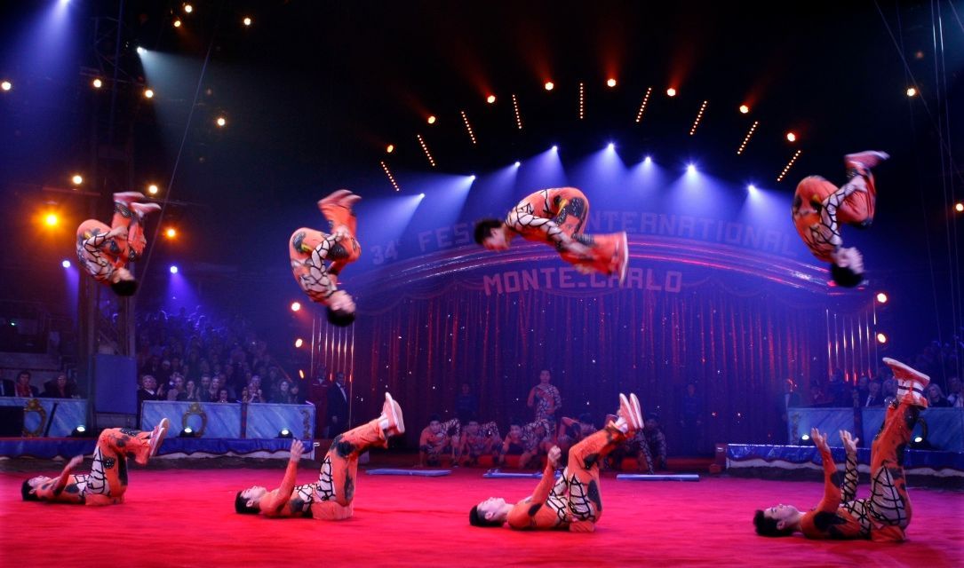 Cirkusový festival