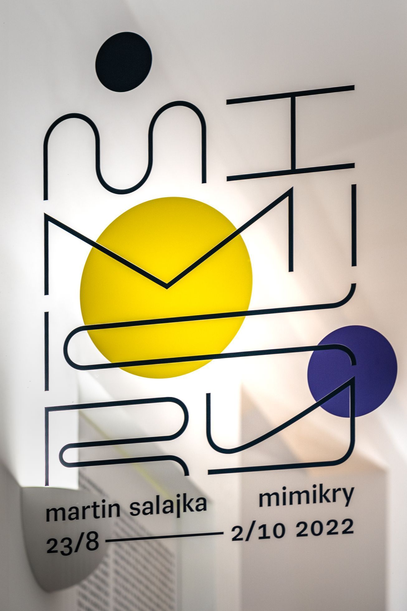 Martin Salajka: Mimikry