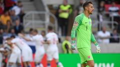 fotbal, Liga národů 2018/2019, Slovensko - Česko, Martin Dúbravka