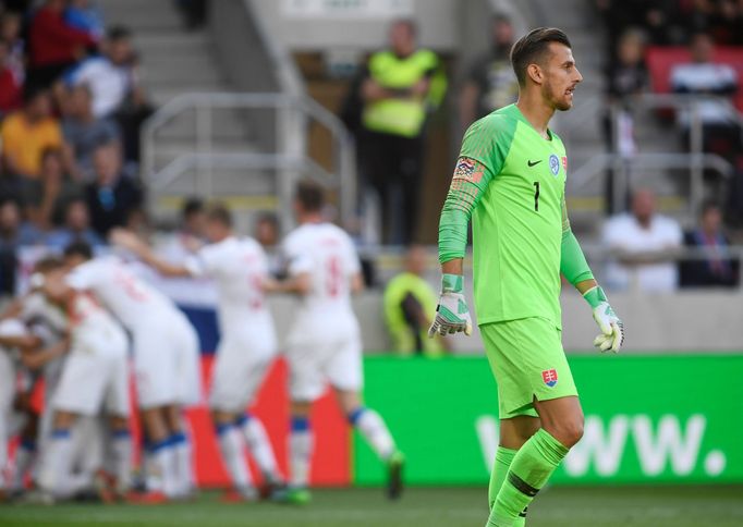 fotbal, Liga národů 2018/2019, Slovensko - Česko, Martin Dúbravka