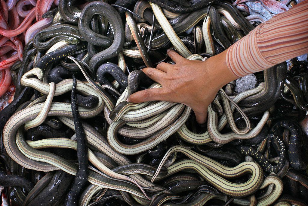 Foto: Překrásné fotografie světa od BBC /// Nepoužívat ve článcích! ///