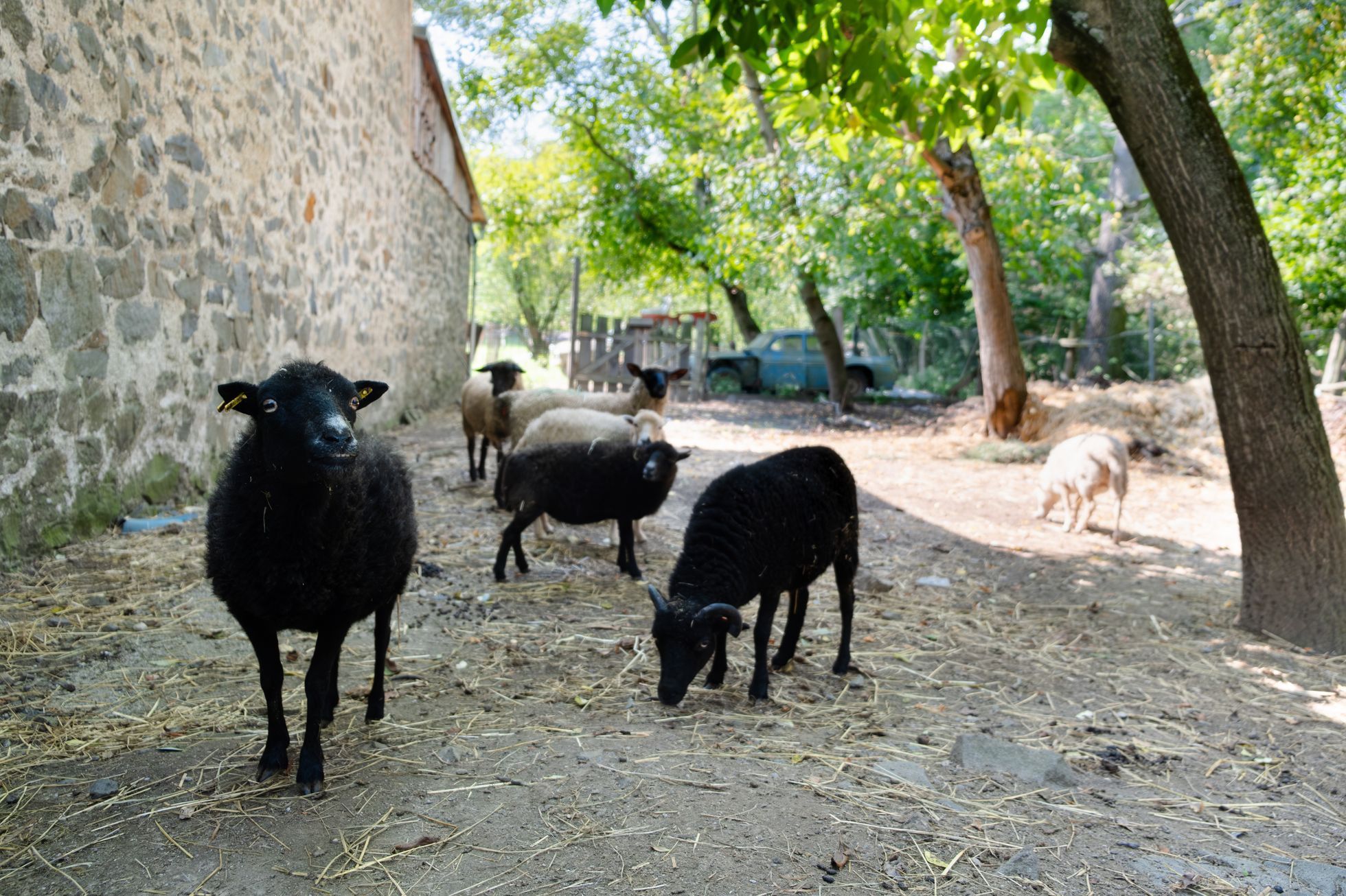 Náš mlýn v Hradčanech
