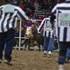Obrazem: Vězeňské rodeo v USA
