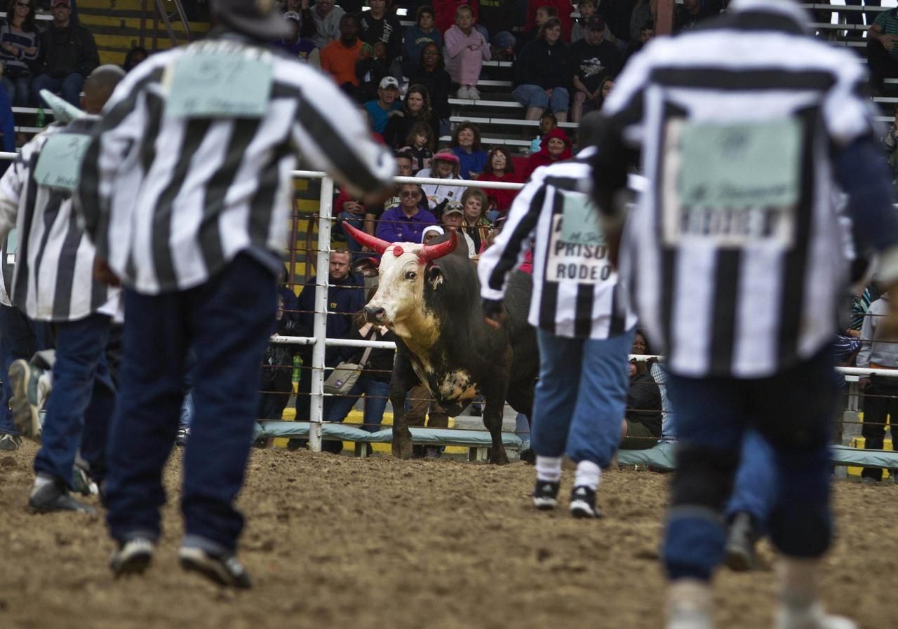 Obrazem: Vězeňské rodeo v USA