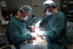 IKEM transplantoval pět orgánů současně, poprvé tenké střevo