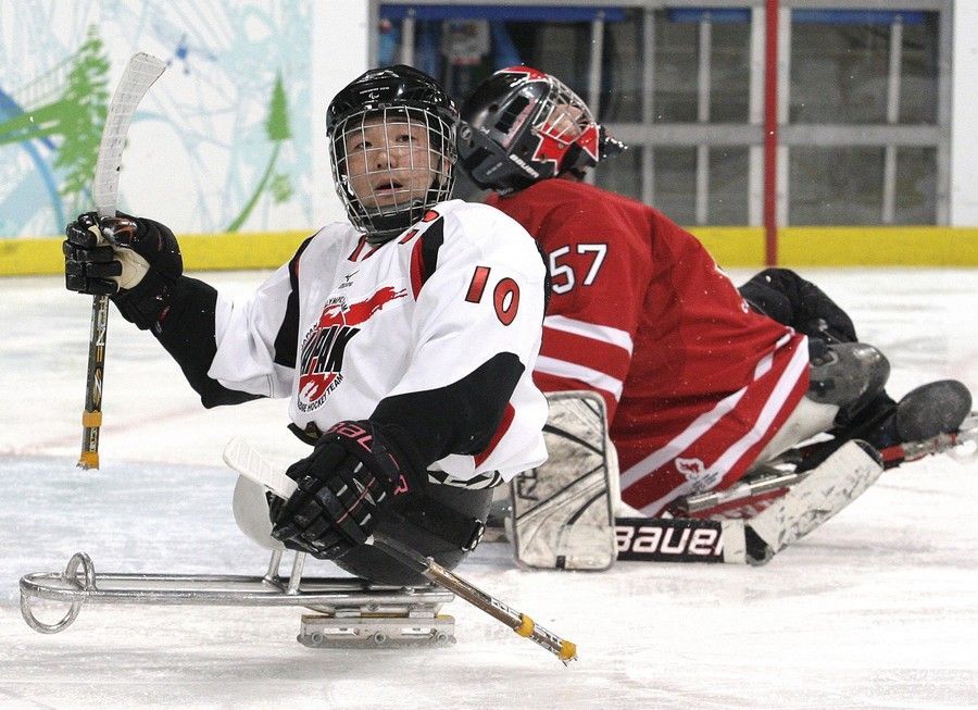 Japonsko - Kanada ve sledge hokeji