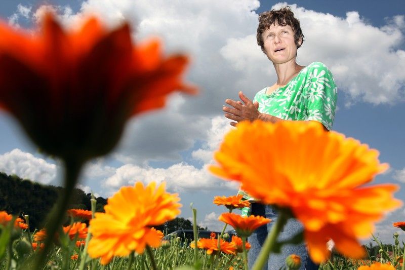 Cesta z města