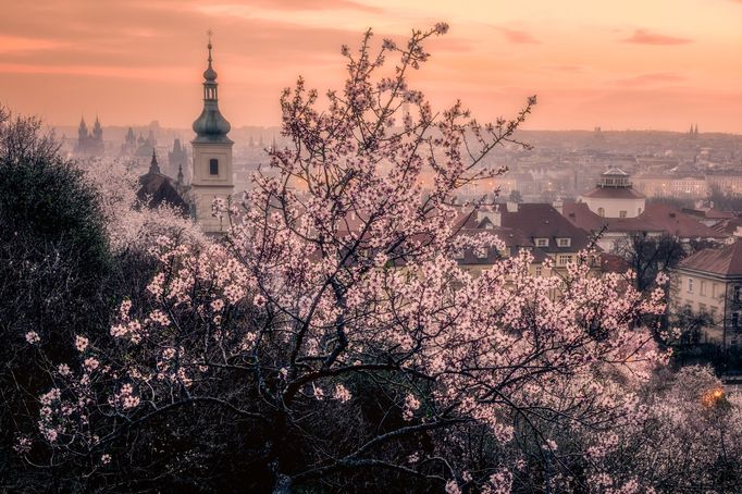 Průřez tvorbou externího fotografa Richarda Horáka za rok 2024.