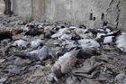Živě: V Sýrii zabíjely chemické zbraně, tvrdí USA