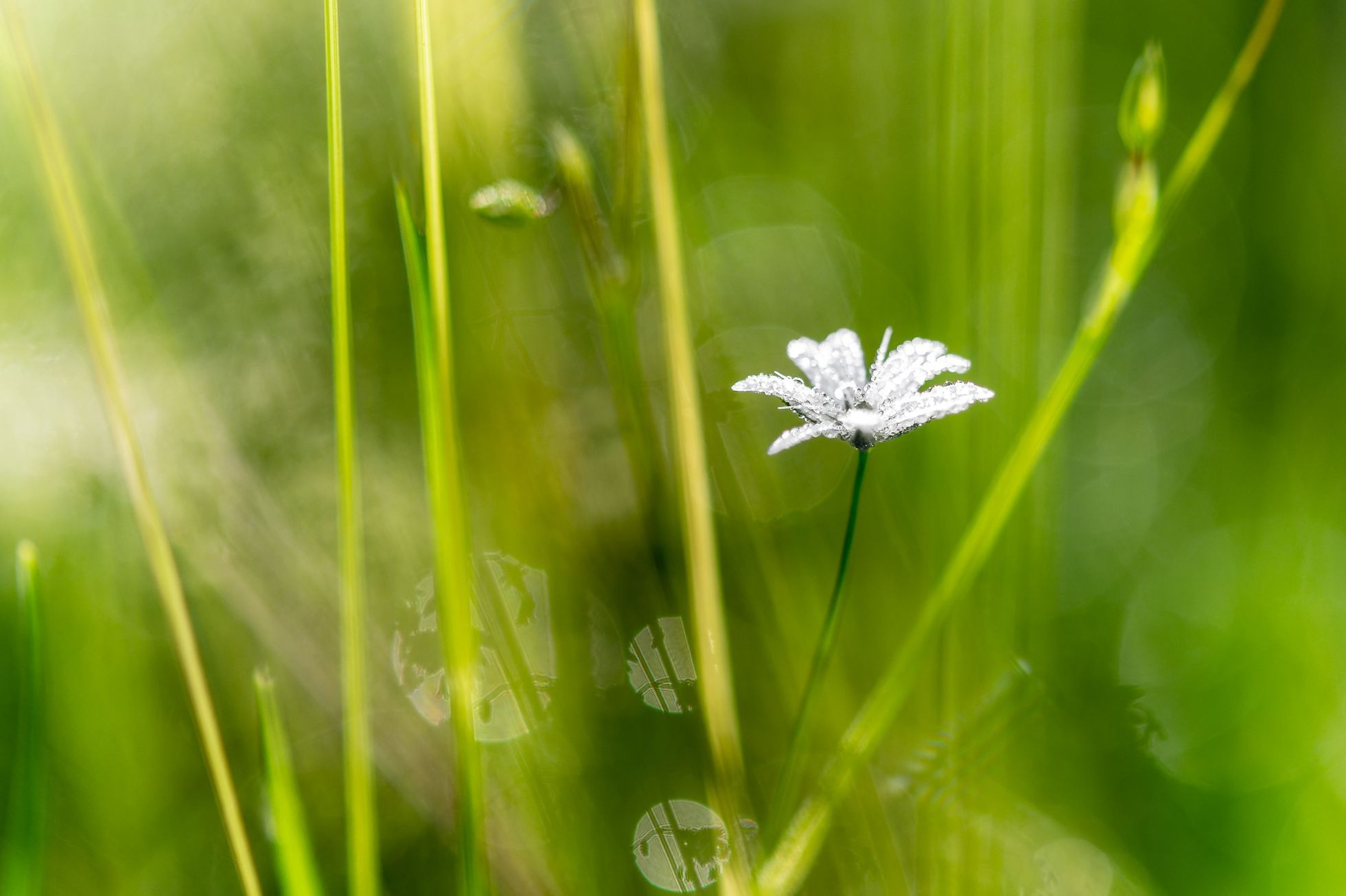 TOP Foto 2023: Rok očima fotografa Richarda Horáka