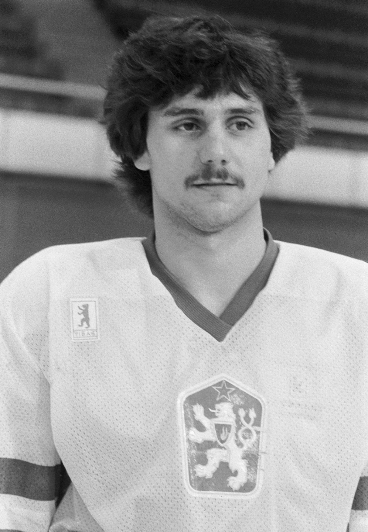 Vladimír Růžička - kariéra