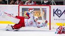 EHL: Třinec - Brno (Peter Hamerlík)