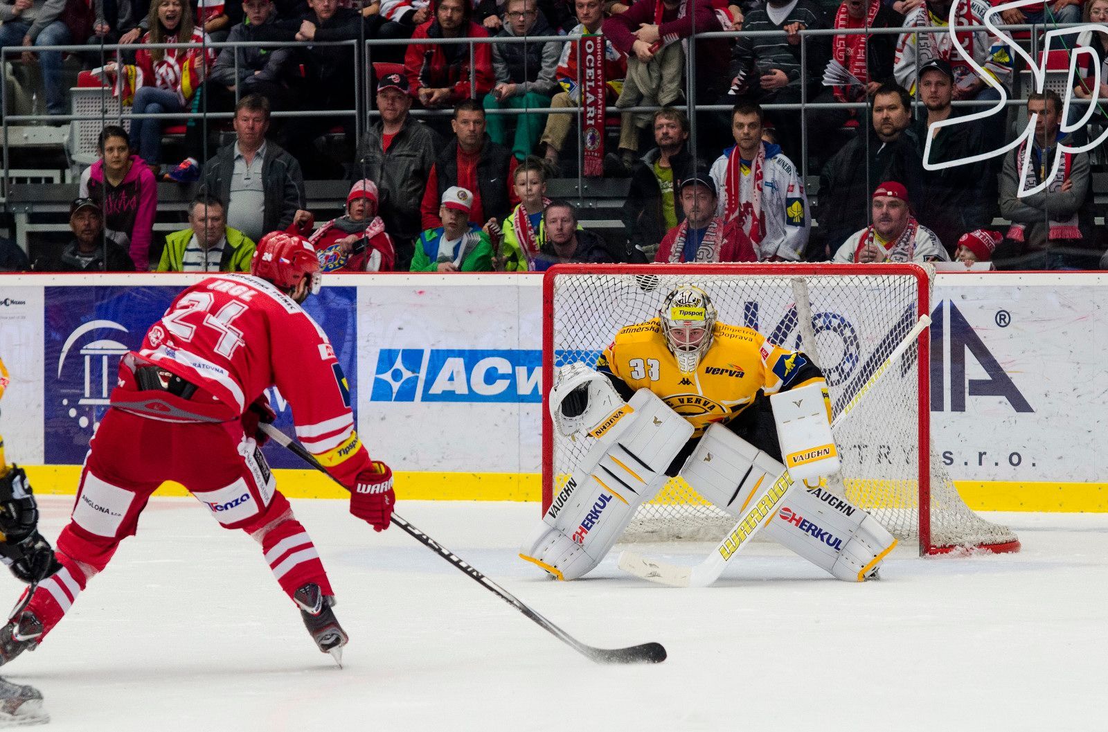TELH finále, Třinec - Litvínov: Zbyněk Irgl  - Pavel Francouz