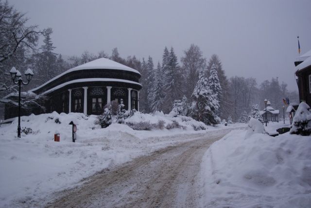 Sníh - Jeseníky, okolí Karlovy Studánky