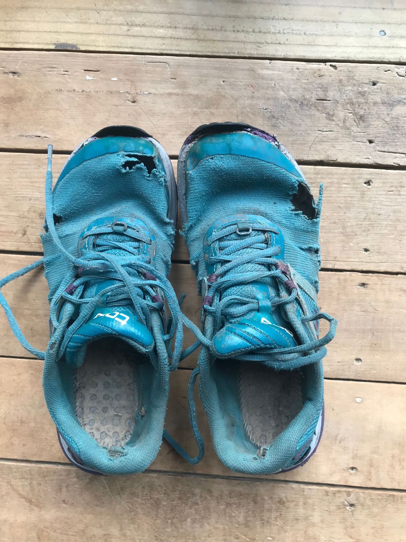 Eva Schrollová a její dobrodružství