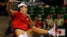 Japan's Daniel smashes a shot against Czech Republic's Rosol during their Davis Cup quarter final tennis match in Tokyo