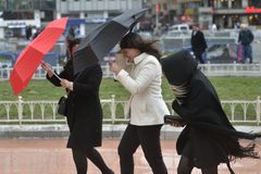 Meteorologové varují před silným větrem, na Plzeňsku jsou kvůli němu lidé bez proudu