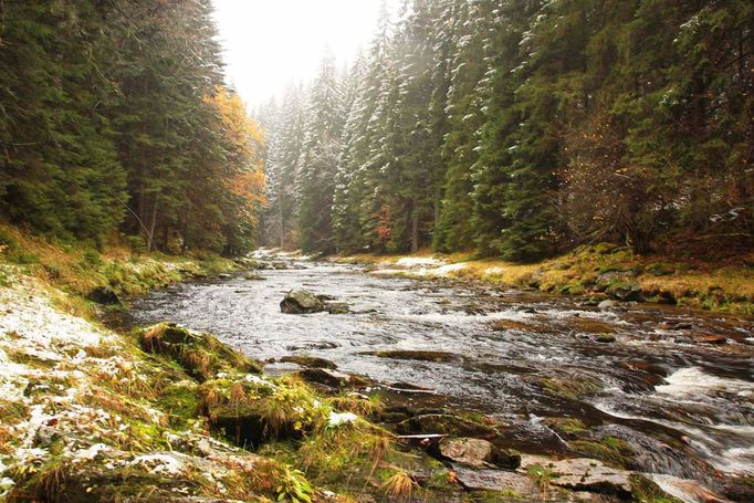 Šumava