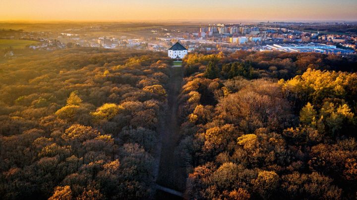 Foto: Seznamte se s pražskými parky, které jsou podle žebříčku nejkrásnější na světě; Zdroj foto: Shutterstock