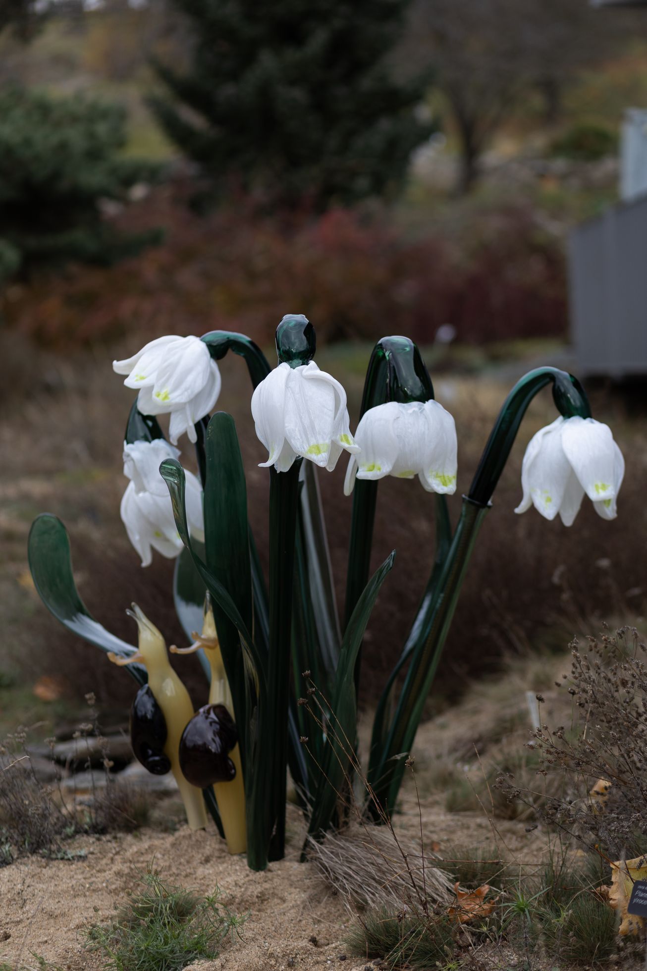Křišťálová zahrada, botanická, umění