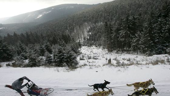 České události roku 2009 pohledem zahraničních agentur
