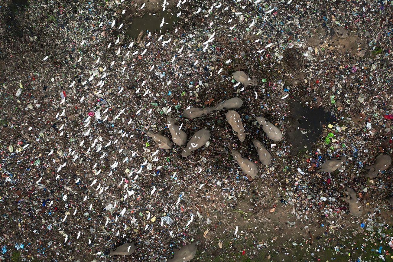 Vítězné fotografie ze soutěže Drone Photo Awards 2023 / Siena Awards