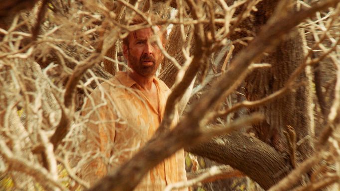 Nicolas Cage v psychologickém thrilleru Surfař.