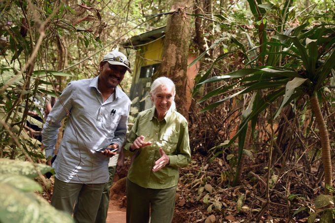 Bioložka Jane Goodallová.