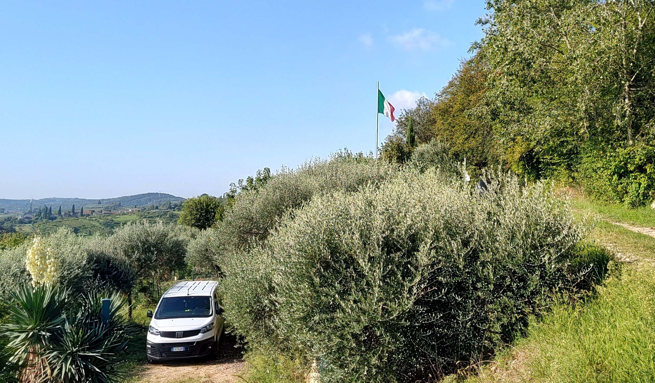 Itálie, pivo, Benátsko, víno, vinice