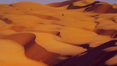 Projděte si poušť Liwa prostřednictvím Google Street View