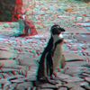 ZOO 3D