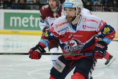 Pardubický hokejový klub je údajně na prodej, zájem má i Petr Hemský