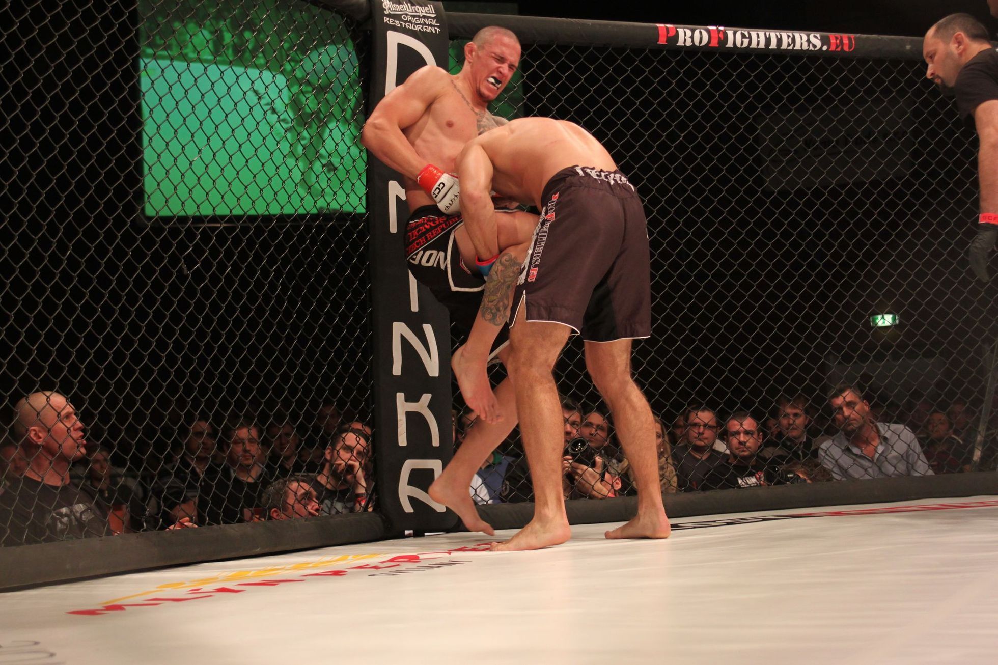 GFC 26 (turnaj MMA v Praze, sobota 7. prosince 2013)