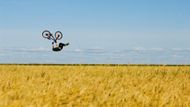 Foto z filmu Life Cycles.