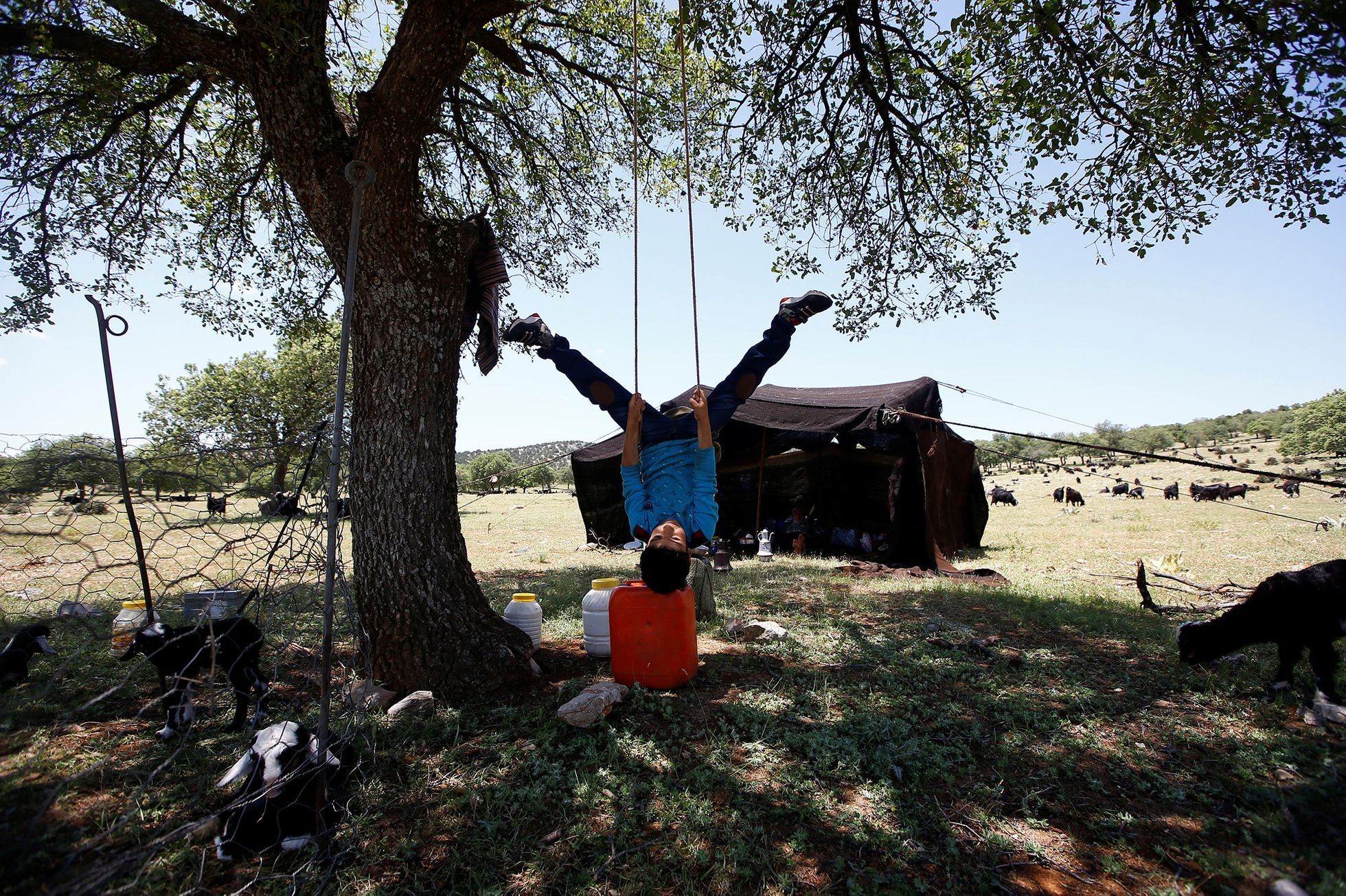 Fotogalerie / Nomádi v Turecku / Reuters / 18