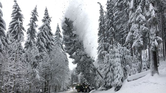 Sněhová kalamita v Alpách.