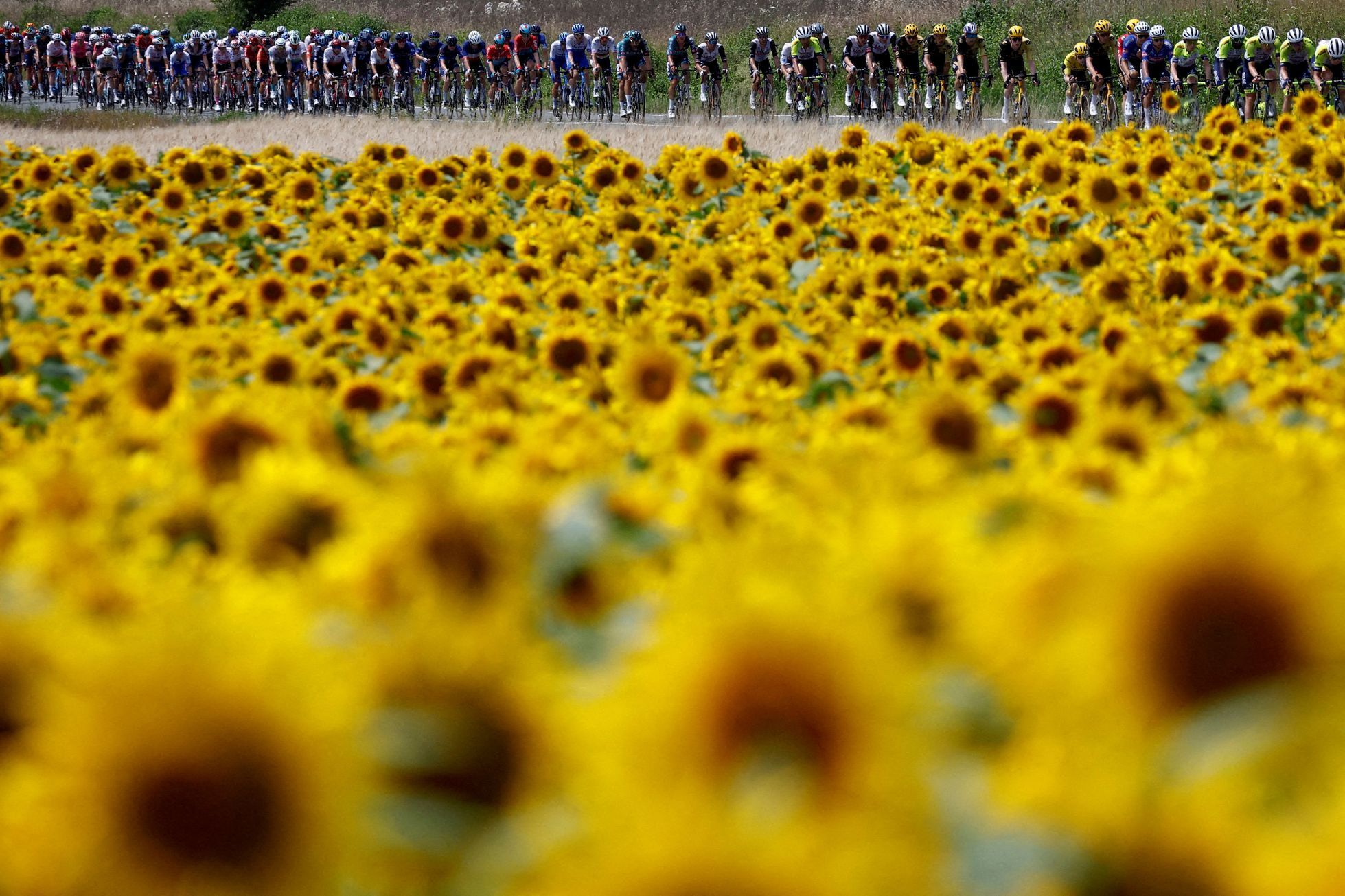 Reuters, nejlepší fotografie, rok 2023, Pictures of the Year 2023, Zahraničí