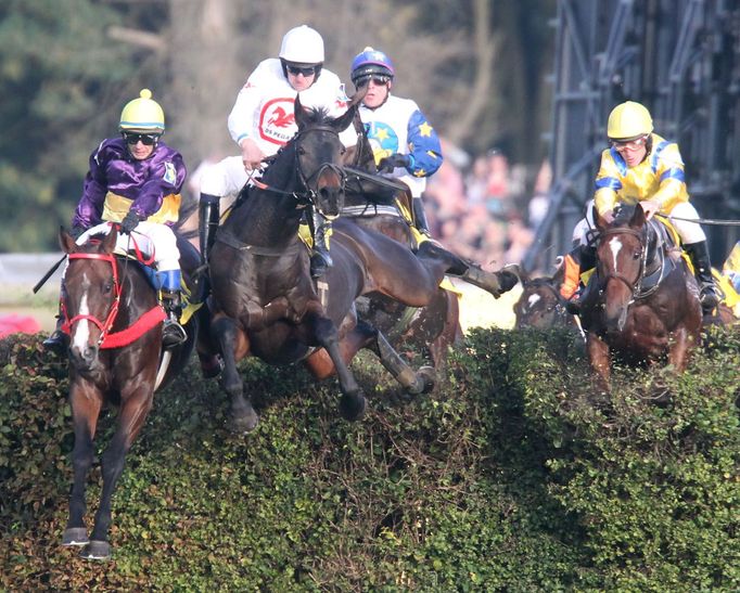 Velká pardubická 2015: Taxis - Orphee des Blins (Jan Faltejsek)