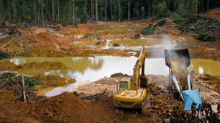 Amazonie mizí. Tempo jejího odlesňování se kvůli koronaviru urychlilo