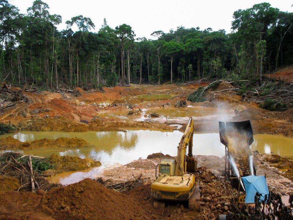Odlesňování - deštný  prales - devastace - Amazonie