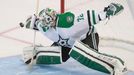 NHL:Dallas Stars at Ottawa Senators (Lehtonen)