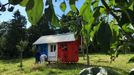 Pin Up Houses