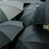 Reuters: Nejlepší snímky desetiletí