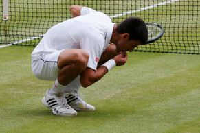 Vítězný Djokovič se opět "napásl" wimbledonské trávy