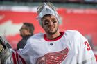 Petr Mrázek, Detroit, NHL 2016/17