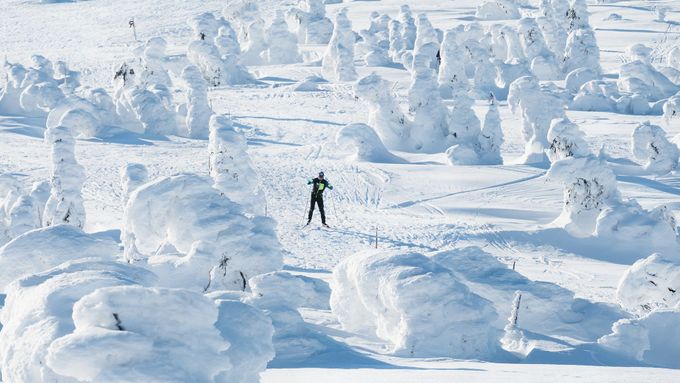 "Ledové sochy" vzniklé ze stromů obalených námrazou v okolí krkonošské Lysé hory.