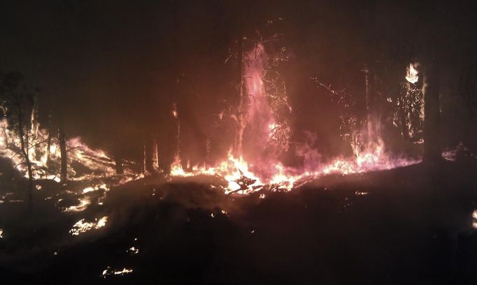 Raging fire engulfs some of the rugged terrain off of Forest Rd. 141 in the Gila National Forest, New Mexico, in this handout photo supplied by the United States Forest Service on May 30, 2012. New Mexico's Whitewater-Baldy Complex fire, still raging in the rugged mountains of the Gila National Forest, has grown to more than 170,000 acres, becoming the largest wildfire in the state's history, fire officials said on Thursday. REUTERS/Steven Meister/Mt. Taylor Hotshots/USFS/Handout (UNITED STATES - Tags: ENVIRONMENT DISASTER) FOR EDITORIAL USE ONLY. NOT FOR SALE FOR MARKETING OR ADVERTISING CAMPAIGNS. THIS IMAGE HAS BEEN SUPPLIED BY A THIRD PARTY. IT IS DISTRIBUTED, EXACTLY AS RECEIVED BY REUTERS, AS A SERVICE TO CLIENTS Published: Kvě. 30, 2012, 6:46 odp.