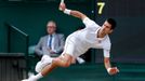 Novak Djokovič na Wimbledonu 2014