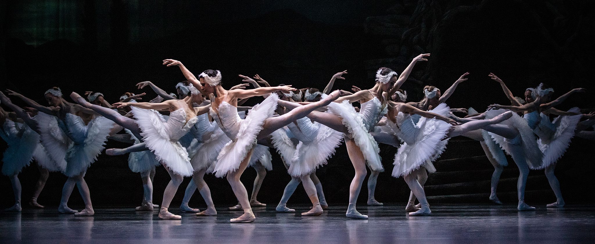 Petr Iljič Čajkovskij: Labutí jezero